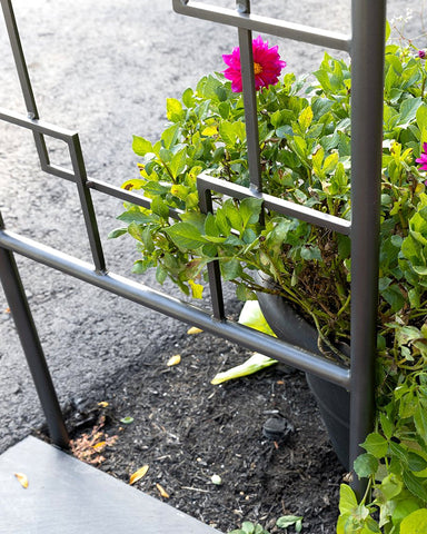 Garden-Lattice-Wrought-iron-Arbor