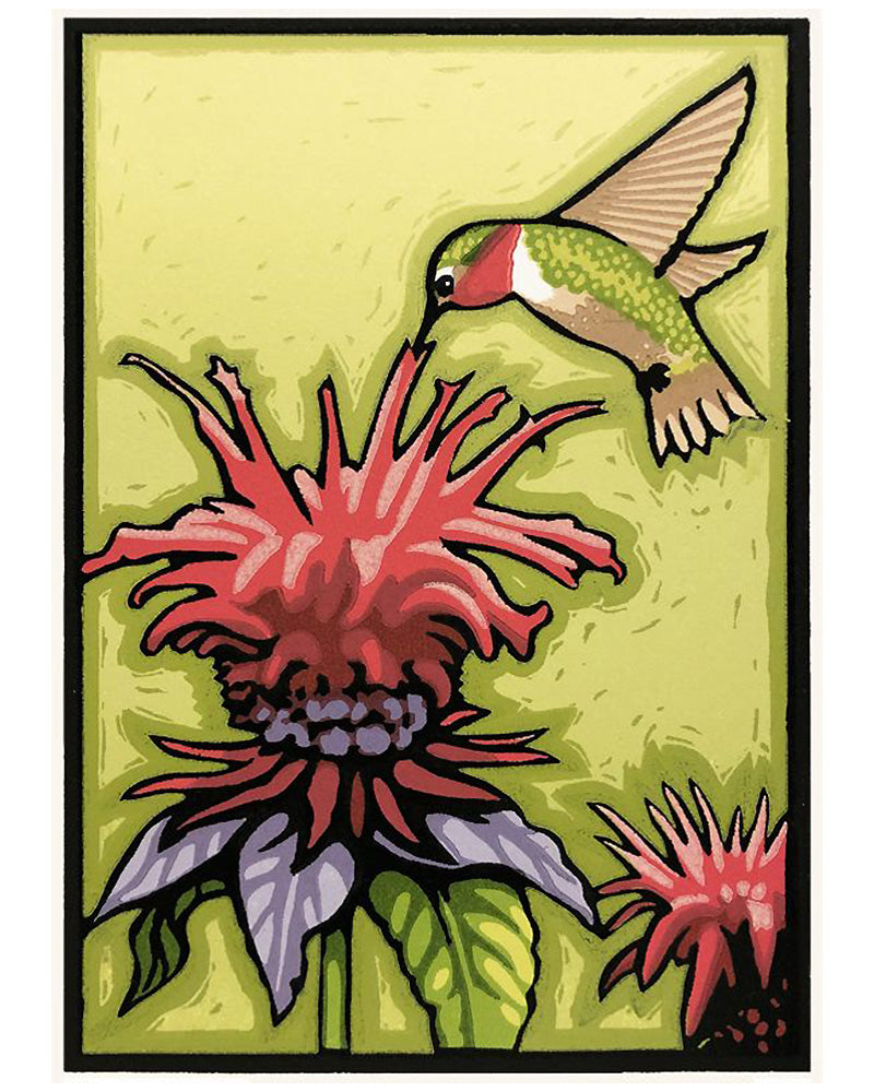 Laura Wilder Hummingbird & Bee Balm Limited Edition Framed Matted Bloc ...