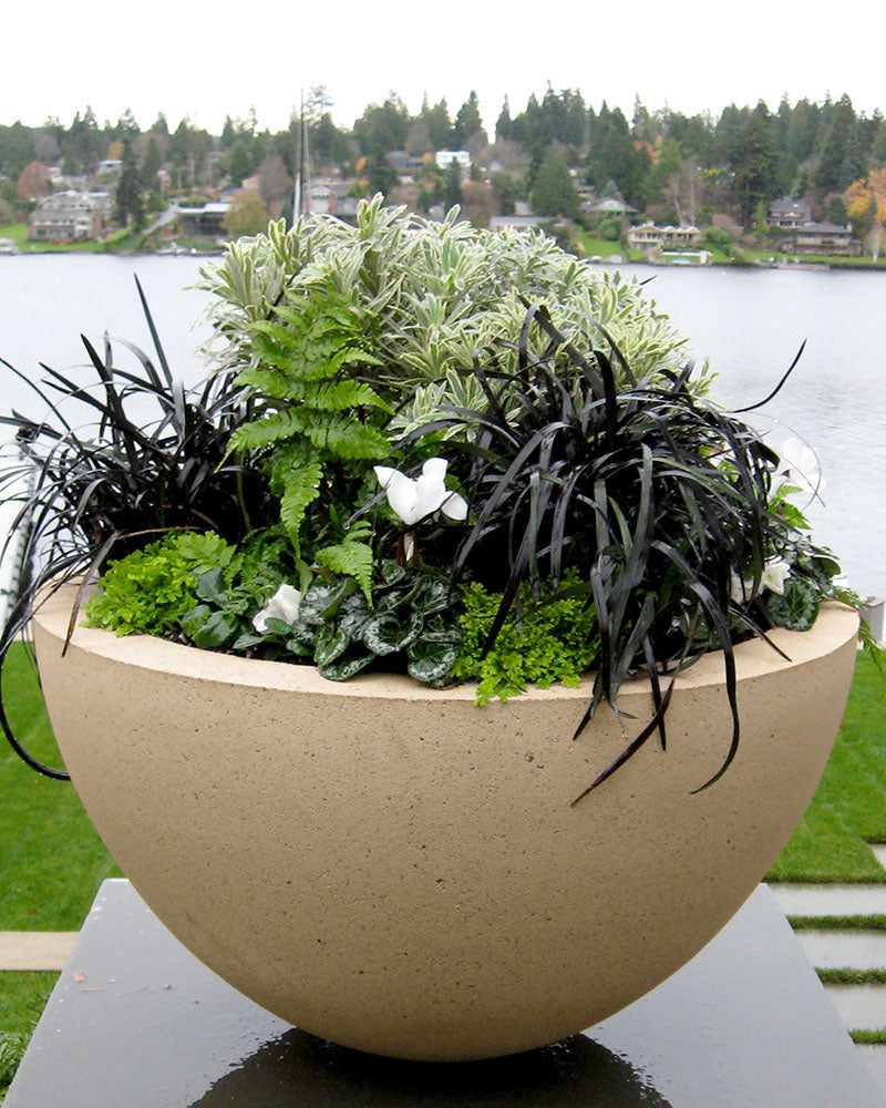 large bowl planter indoor Ragen Bowl Planter Vase